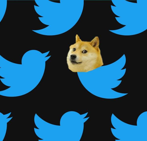 رسمياً.. ماسك يكشف عن شعار تويتر الجديد