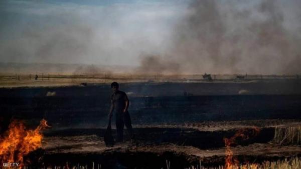 ترامب يأمر بحرق 300 هكتار من حقول القمح في إحدى الدول العربية 