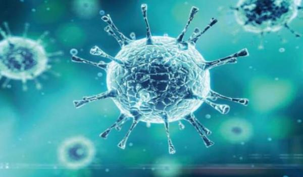وزارة الصحة بصنعاء تكشف حقيقة تسجيل حالات جديدة مصابة بفيروس كورونا في "امانه العاصمة" ومحافظات مختلفة